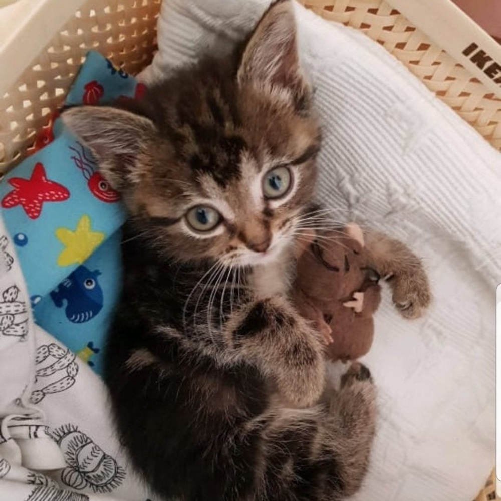 Meet your Posher, Erin